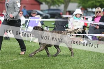 134871_ms_04_IMG_1054.JPG