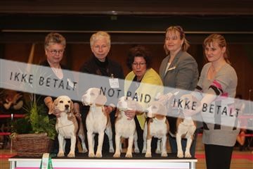 124188 _tl_02_IMG_9531.JPG