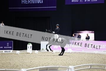 182194_avh_06_3507.JPG