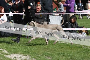 134871_ms_01_IMG_3976.JPG