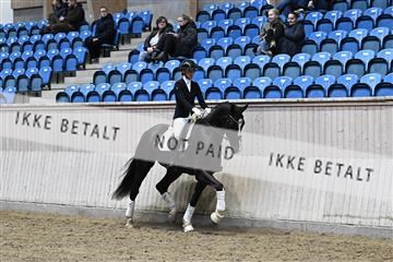 182241_kbb_01_Z093459.JPG
