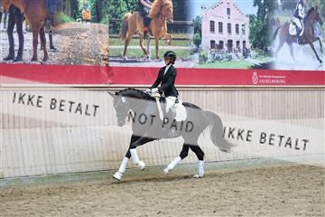 181887_mtp_04_R62_9350.JPG