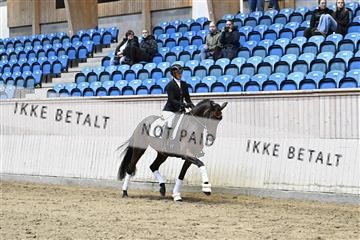 182241_kbb_01_Z093179.JPG