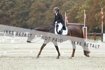 181923_mtp_03_R62_7783.JPG