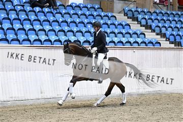 182241_kbb_01_Z094708.JPG