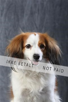 129608_le_ 01_0546.JPG