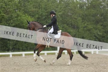139835_sg_02_IMG_8868.JPG