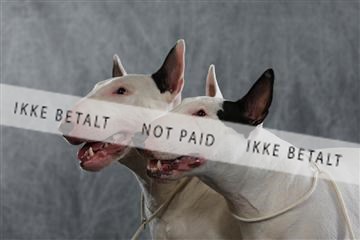 128239_le_kort_ 01_0297.JPG