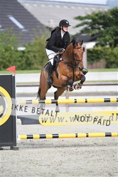 169152_abo_01_D05_0496.JPG