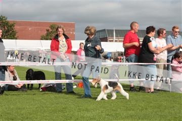 130370_tl_01_IMG_7496.JPG