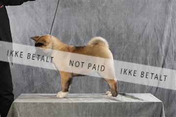 128239_le_ 06_0044.JPG