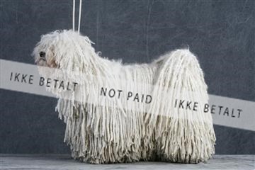 5493_sme _02__MG_9681.JPG