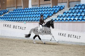 181887_mtp_04_R62_8687.JPG