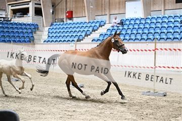 181754_kbb_01_Z093334.JPG