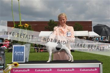 130370_le_02_IMG_8510.JPG
