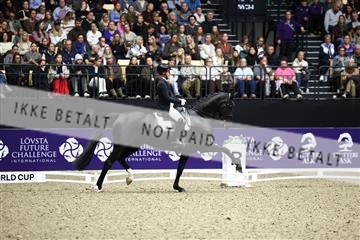 182194_avh_07_3849.JPG