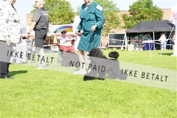 181564_kar_01__62_7372.JPG