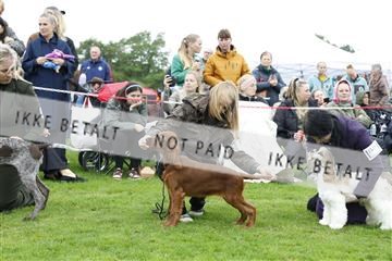182009_kar_01__62_5123.JPG