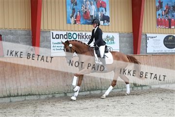 181867_mtp_02_R62_4724.JPG