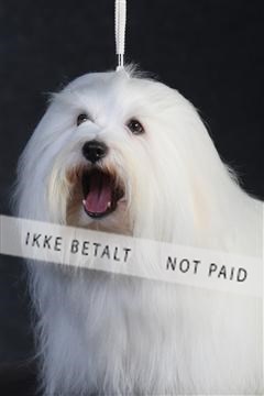 132082_le_ 01_IMG_0381.JPG