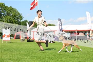 181564_rin_01_R62_0562.JPG
