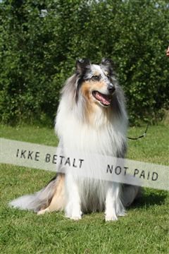 130370_se_03_IMG_7552.JPG