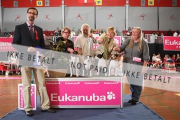 6068_ma_07_IMG_6657.JPG