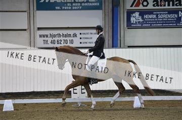 140040_abo_01__AB18067.JPG