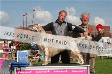 130370_se_03_IMG_7870.JPG