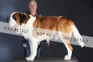 132082_le_ 01_IMG_0082.JPG