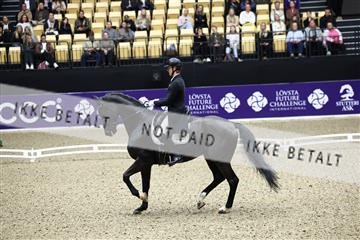 182194_avh_05_2071.JPG