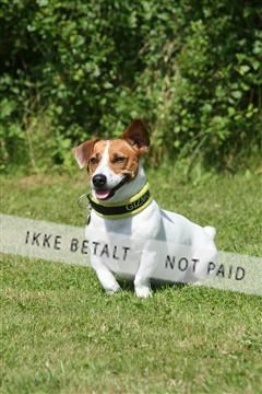 130370_se_02_IMG_6154.JPG