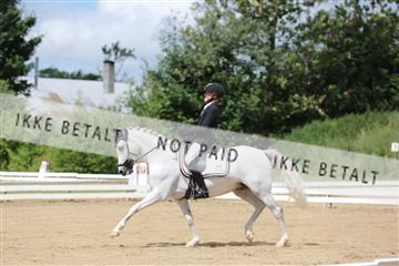 156196_nn_01_IMG_5950.JPG