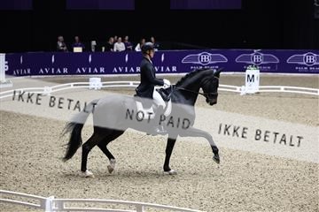 182194_avh_05_2039.JPG