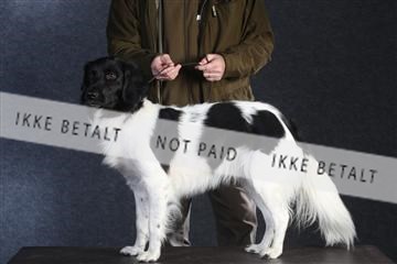 132082_le_ 01_IMG_0543.JPG