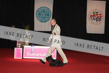 126827_tl_02_IMG_3069.JPG