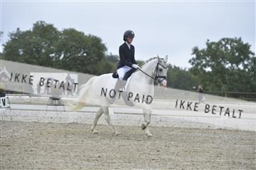 169624_kbb_01__KBB8134.JPG