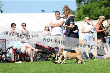 181564_rin_02_R62_3494.JPG