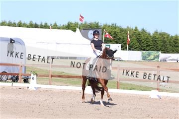 181449_bc_01R62_5950.JPG