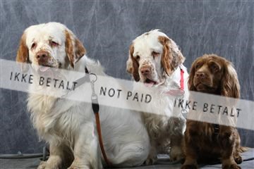 129608_le_ 01_0716.JPG