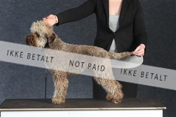 132082_le_ 01_IMG_1357.JPG