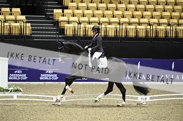 182194_kbb_01_Z095767.JPG