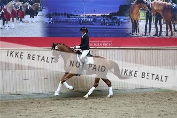 181887_mtp_02_R62_7832.JPG