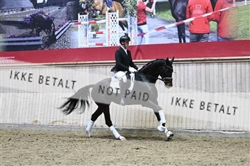 182241_kbb_01_Z093640.JPG