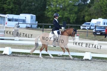 181894_mtp_05_R62_5403.JPG