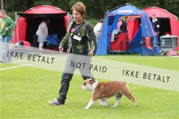 130370_tl_02_IMG_7667.JPG