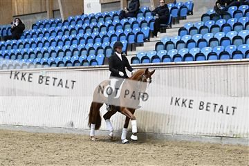 182241_kbb_01_Z093693.JPG