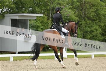 139835_sg_01_IMG_8247.JPG