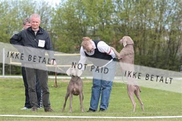 124188 _tl_02_IMG_9506.JPG