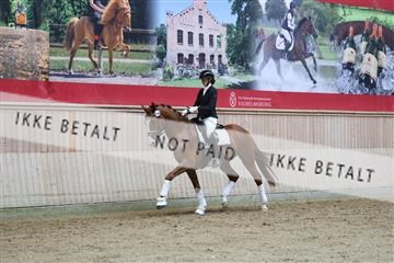 181887_mtp_02_R62_7779.JPG